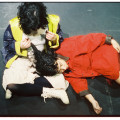 Portada de l'espectacle Domesticus